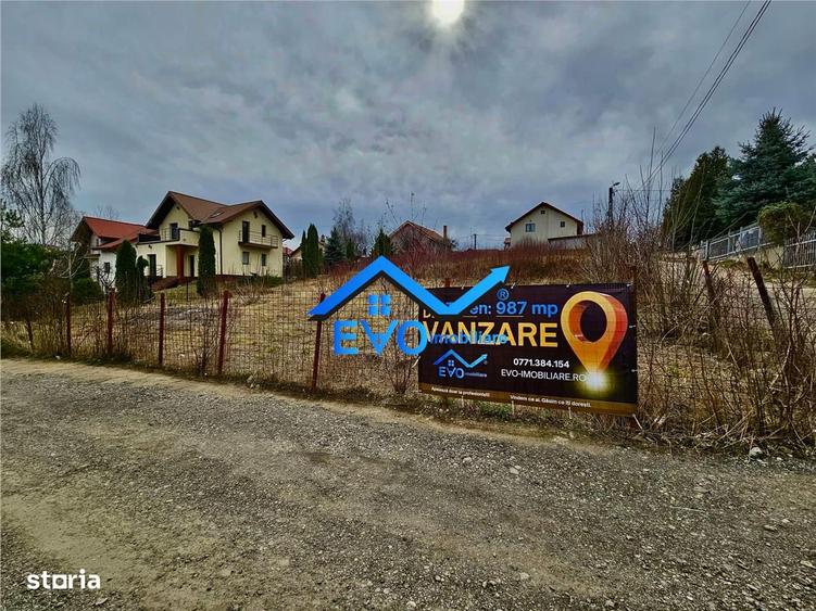 Teren intravilan, de vanzare, 987mp, deschidere 40 mp, Al. Tudor Necul - 4