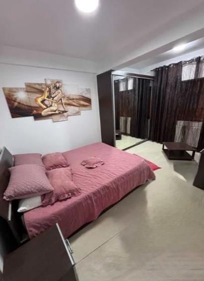 Apartament cu 2 camere decomandat, mobilat în P-ța Alba Iulia