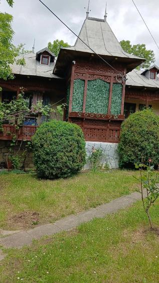 Casă cu Teren 1270 Mp în Provița de Jos
