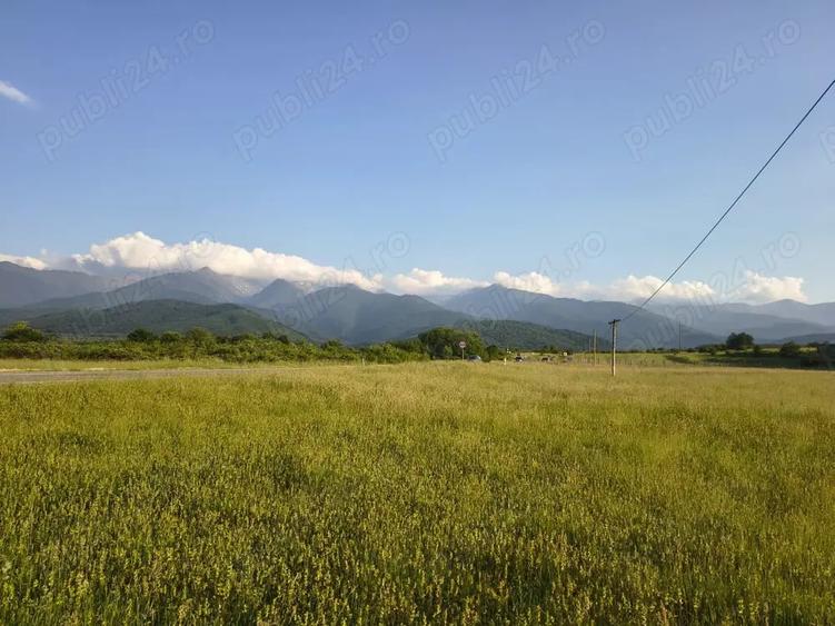 Teren de 1800 mp, în Cârțișoara