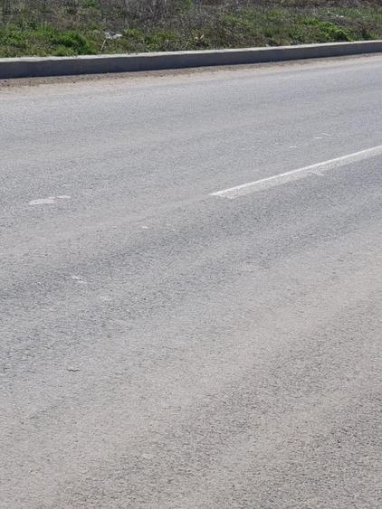 Teren Construcții intravilan de 10000 mp, în Dobroești