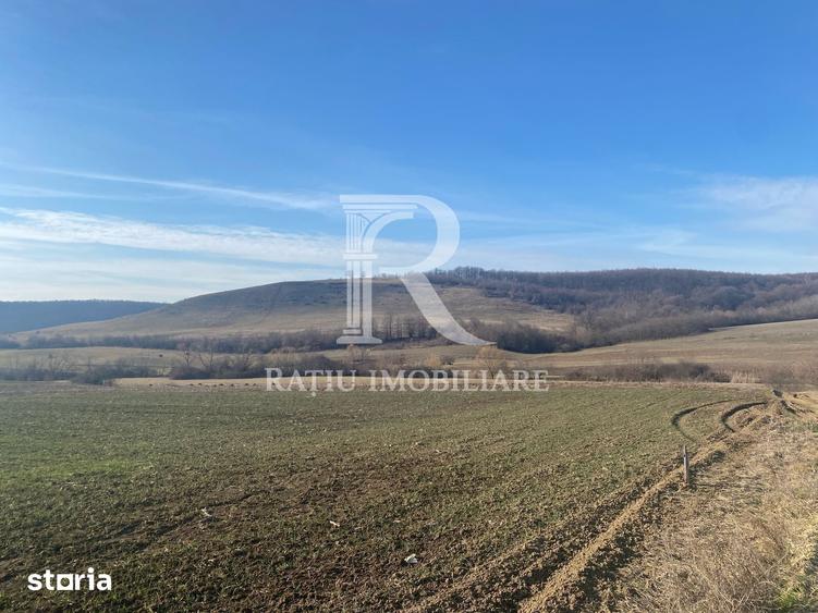 Teren de 3900 mp, în Hidiș