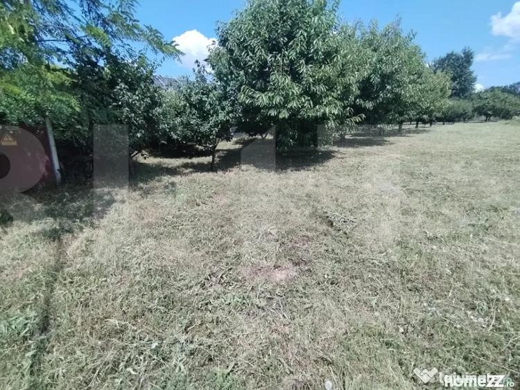 Teren de 3000 mp, în Central