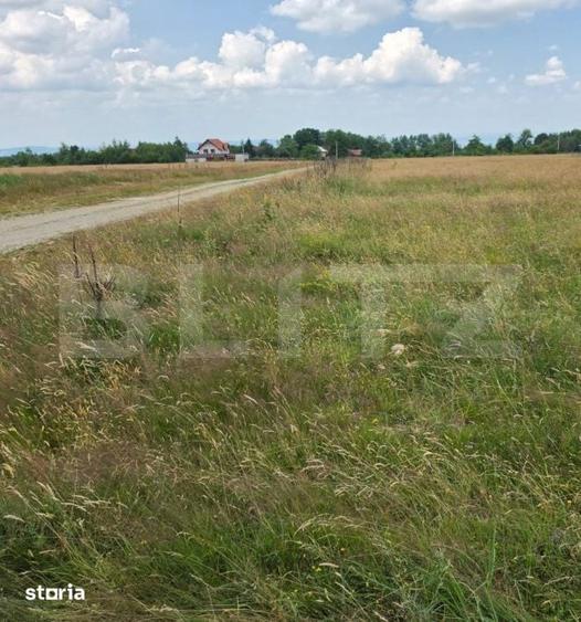 Teren de 1000 mp, în Sâmbăta de Sus