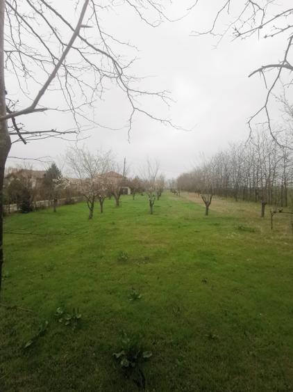 Teren Construcții intravilan de 4350 mp, în Techirghiol
