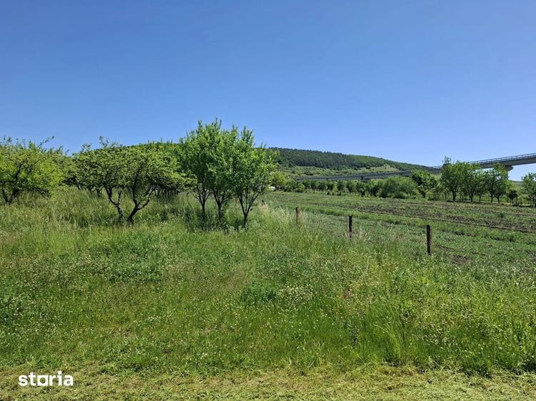 Teren de vanzare in Valcele - 3