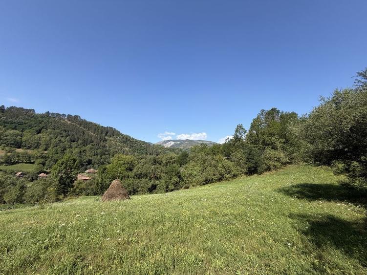 Teren intravilan 4.128 mp Ocolis Alba priveliste superba curent la proprietate - 8