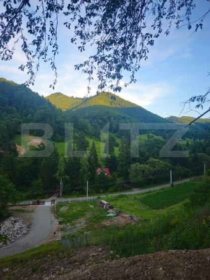 Teren Construcții intravilan de 10000 mp, în Est