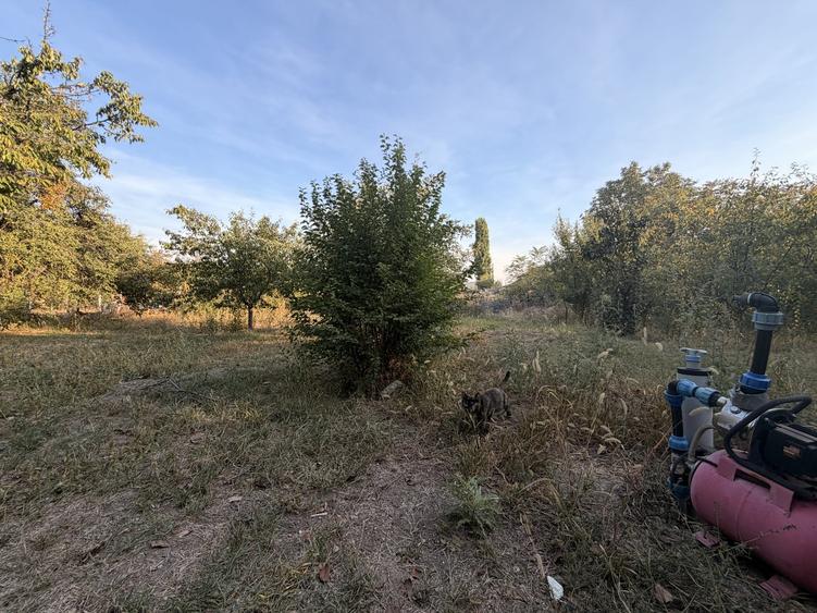 Casă individuală cu 3 camere cu Canalizare în Blașcovici