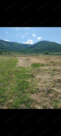 Teren de 2700 mp, în Poplaca