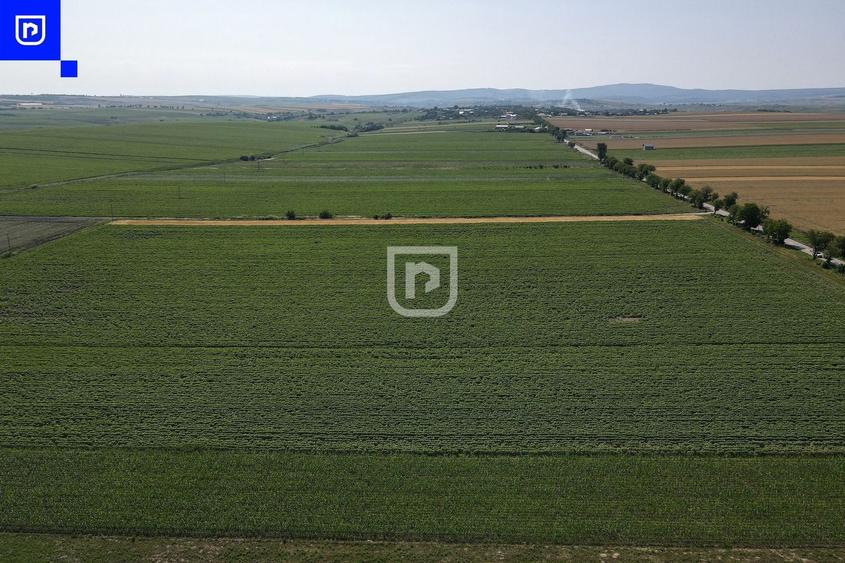Teren agricol extravilan de 10000 mp, în Orășeni-Deal