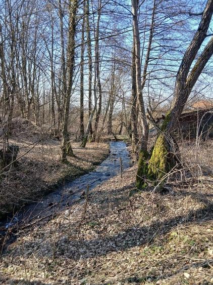 Casa ?i teren in Mun?ii Apuseni la 18 km de municipiul Deva - 4