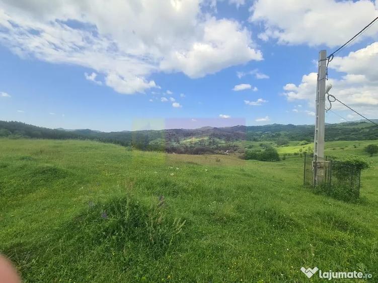 Teren de 9037 mp, în Plaiul Tălii