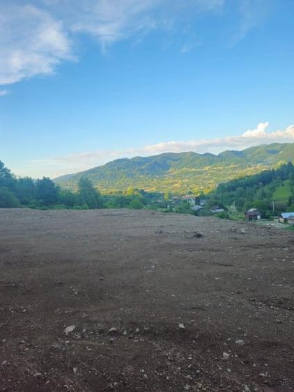 Teren Construcții intravilan de 10000 mp, în Bistrița Bârgăului