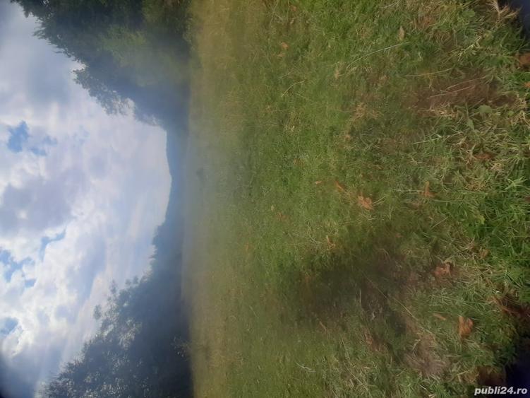 Teren de 12330 mp, în Baia de Fier