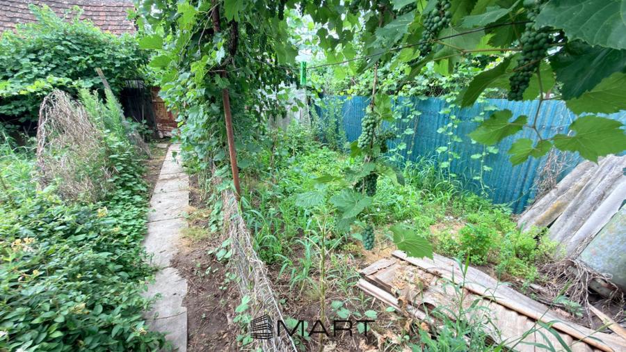 Casă cu 3 camere cu Teren 380 Mp în Central