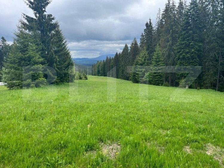 Teren Construcții intravilan de 7000 mp, în Exterior Nord