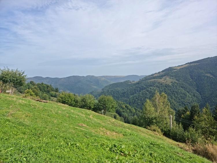 Teren Construcții intravilan de 2300 mp, în Măguri-Răcătău
