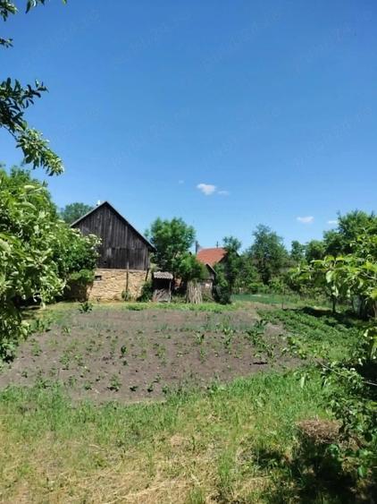 Casă cu 4 camere cu Teren 2418 Mp în Dumbrava