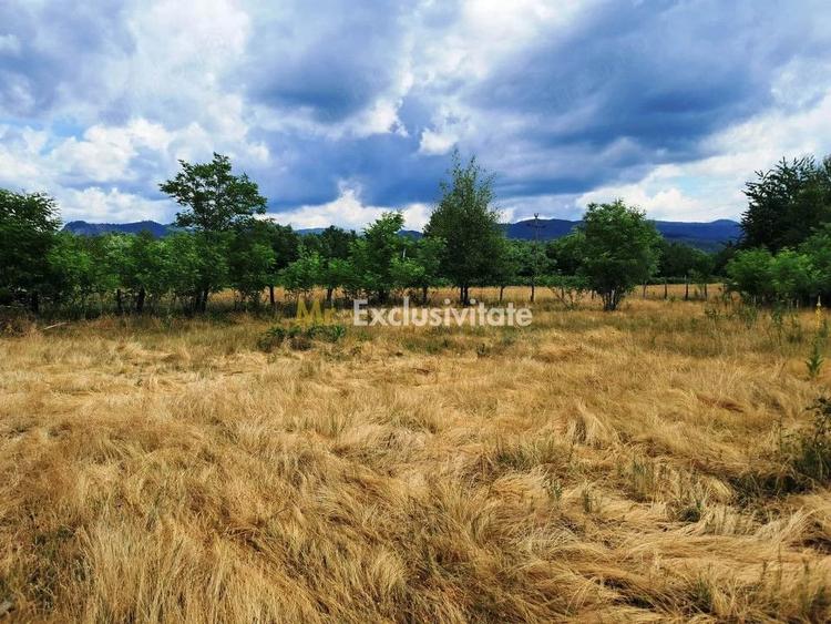 Teren de 2478 mp, în Polovragi