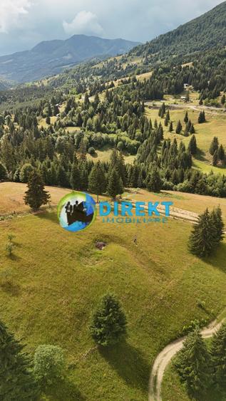 Teren agricol extravilan de 5000 mp, în Piatra Fântânele