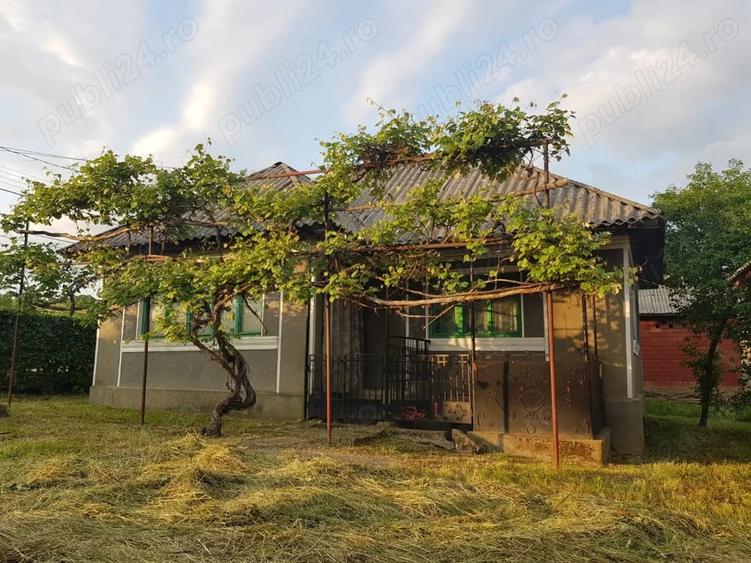 Casă cu 3 camere cu Teren 3867 Mp în Central
