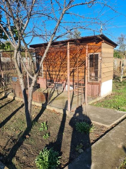 Casă cu 3 camere în Drănic