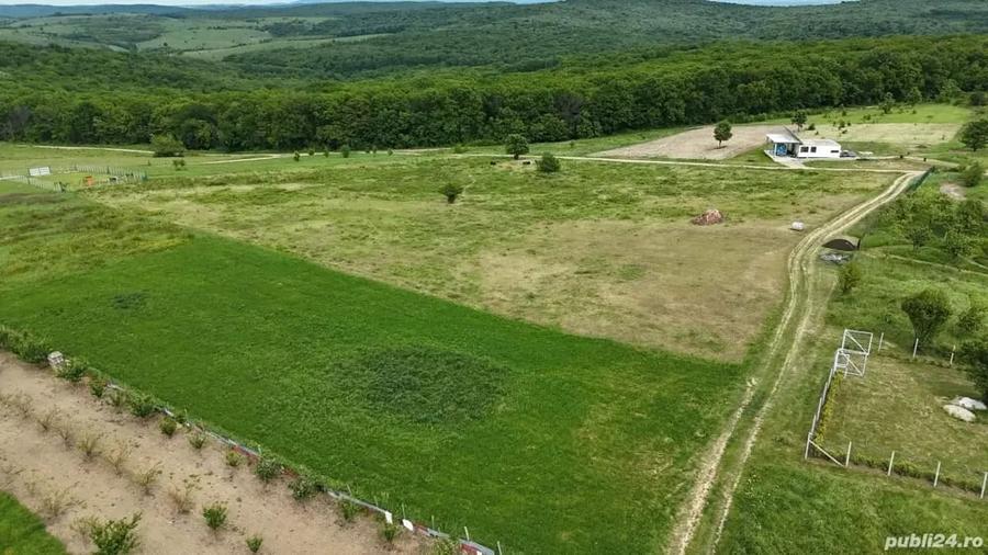 Teren de 3000 mp, în Săldăbagiu de Munte