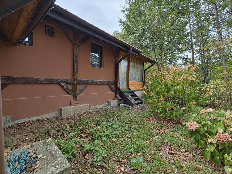 Casă individuală cu 4 camere cu Teren 2000 Mp în Vulcan