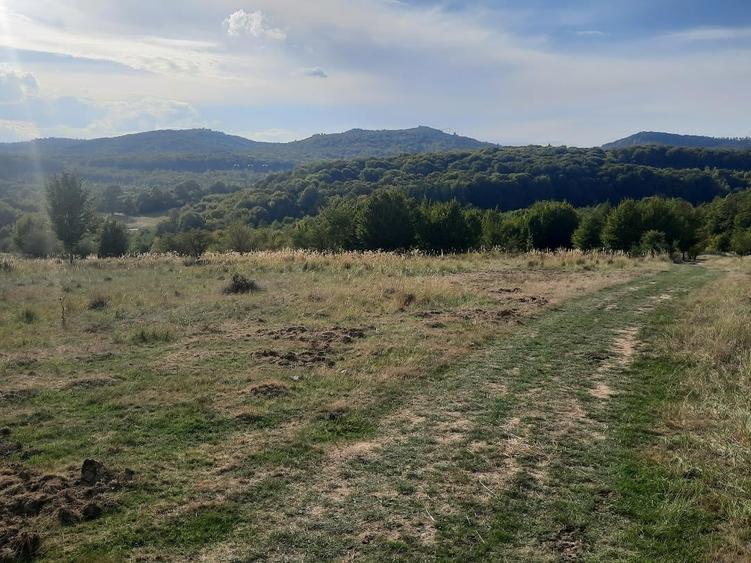 Teren Construcții extravilan de 10756 mp, în Dumbrăvița