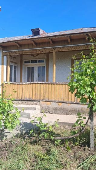 Casă cu Teren 1470 Mp în Fântânele