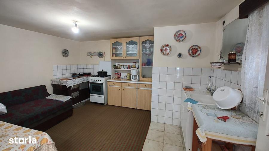De vanzare casa in satul Carpinis - 15