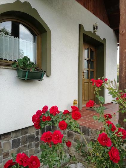 Casă cu 4 camere cu Teren 4000 Mp în Brădești