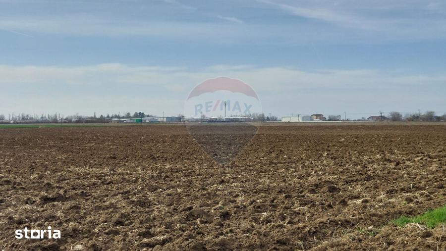 Teren de 5000 mp, în Moara Vlăsiei