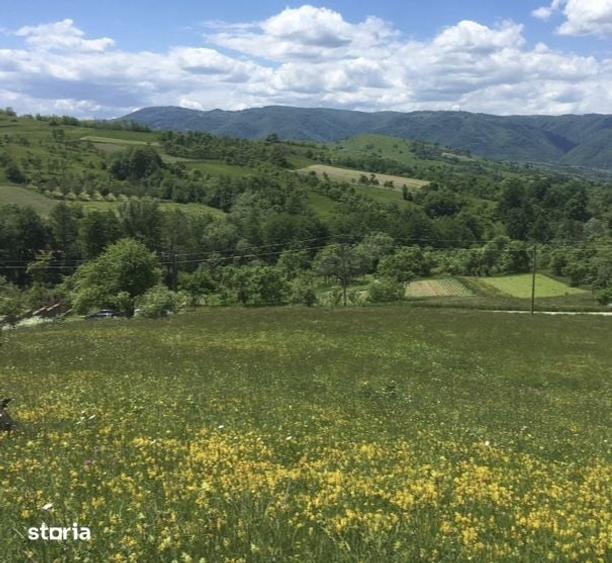 Teren de 879 mp, în Armeniș