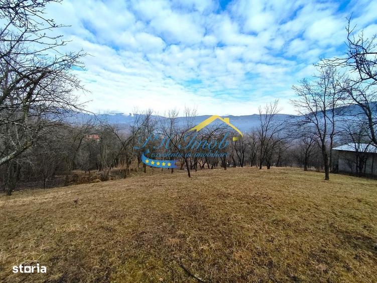 Teren de 5037 mp, în Gura Beliei