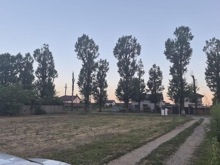 Spațiu comercial, în Găneasa
