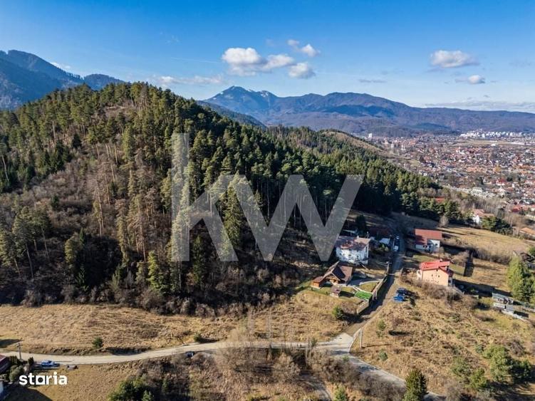 Spațiu comercial, în Poiana Angelescu