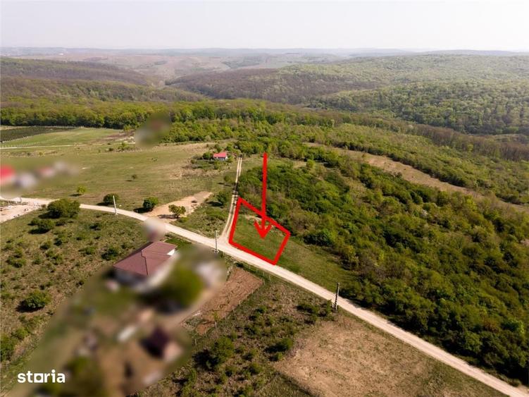 RECO Teren intravilan, dublu front, Saldabagiu de Munte - 4