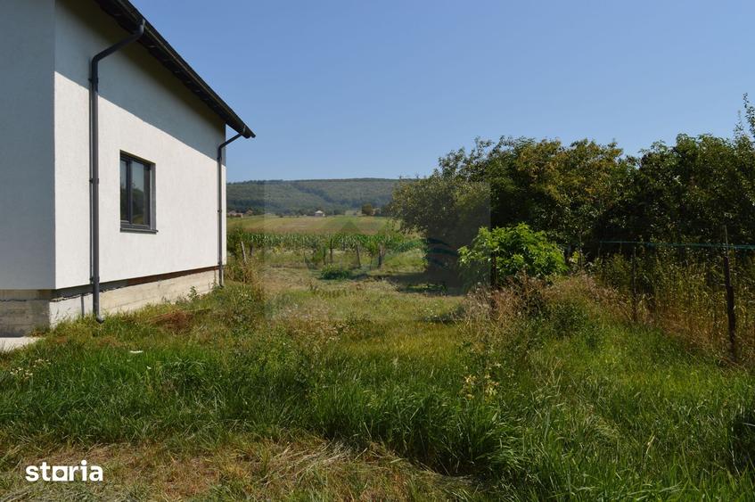 Casă cu 5 camere cu Teren 9700 Mp în Vama