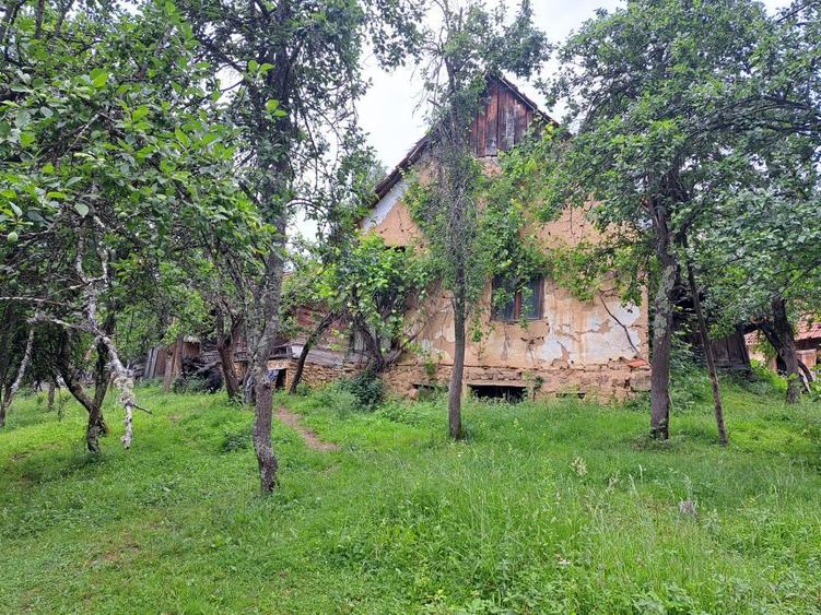 Casă cu 2 camere în Hălmagiu