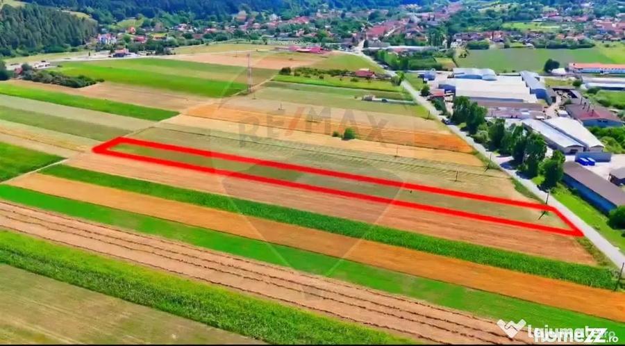Teren de 7000 mp, în Teliu