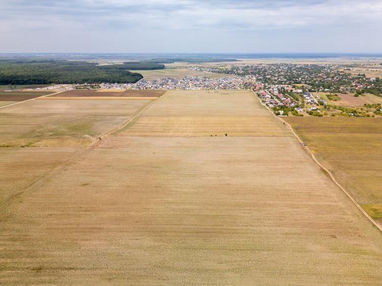 Teren Construcții intravilan de 7500 mp, în Dascălu