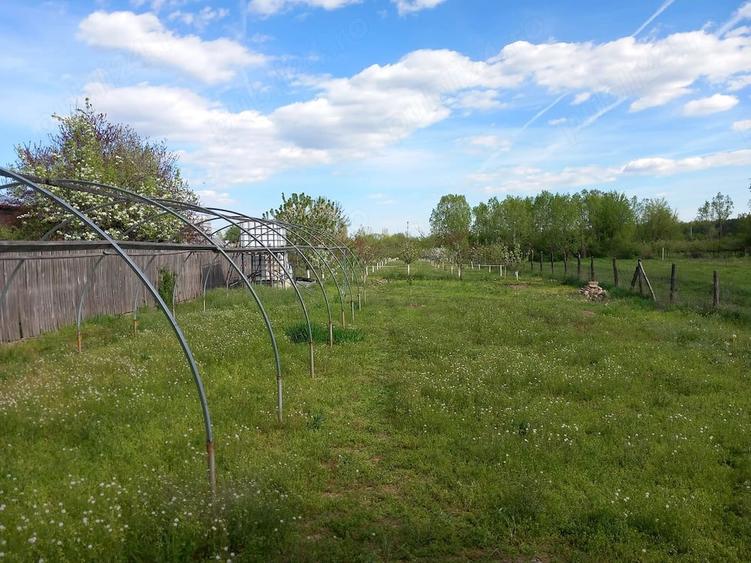 Teren de 2600 mp, în Central