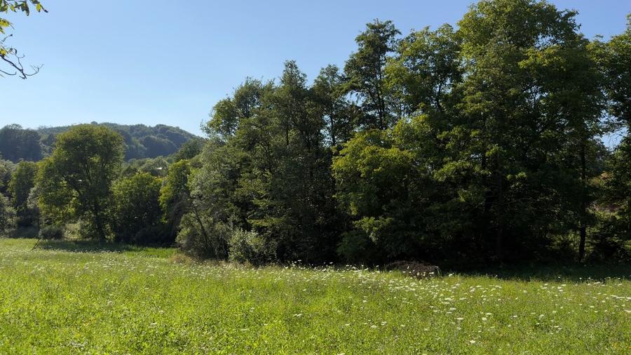 Teren Construcții intravilan de 4653 mp, în Valea Danului