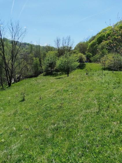 Teren de 7795 mp, în Opătești