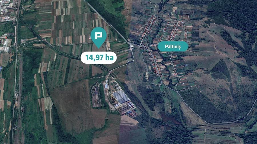 Teren agricol extravilan de 151874 mp, în Păltiniș