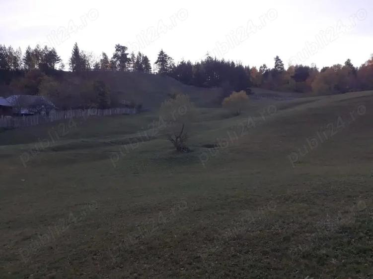 Teren de 13700 mp, în Nereju