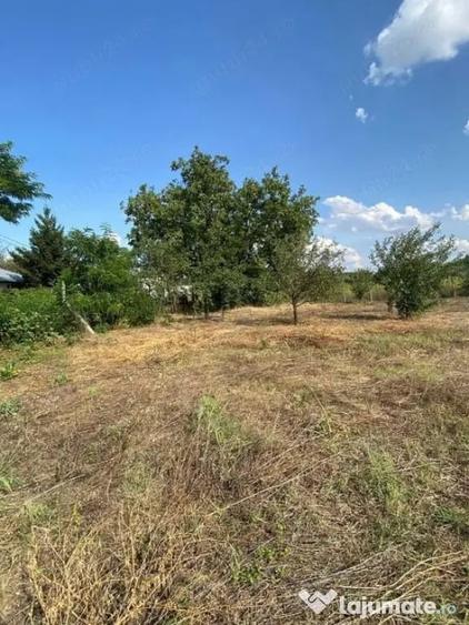 Teren de 1500 mp, în Petrești