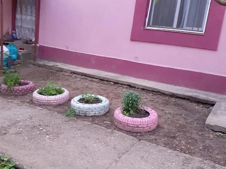 Casă individuală cu 2 camere cu Teren 2930 Mp în Valea Stanciului